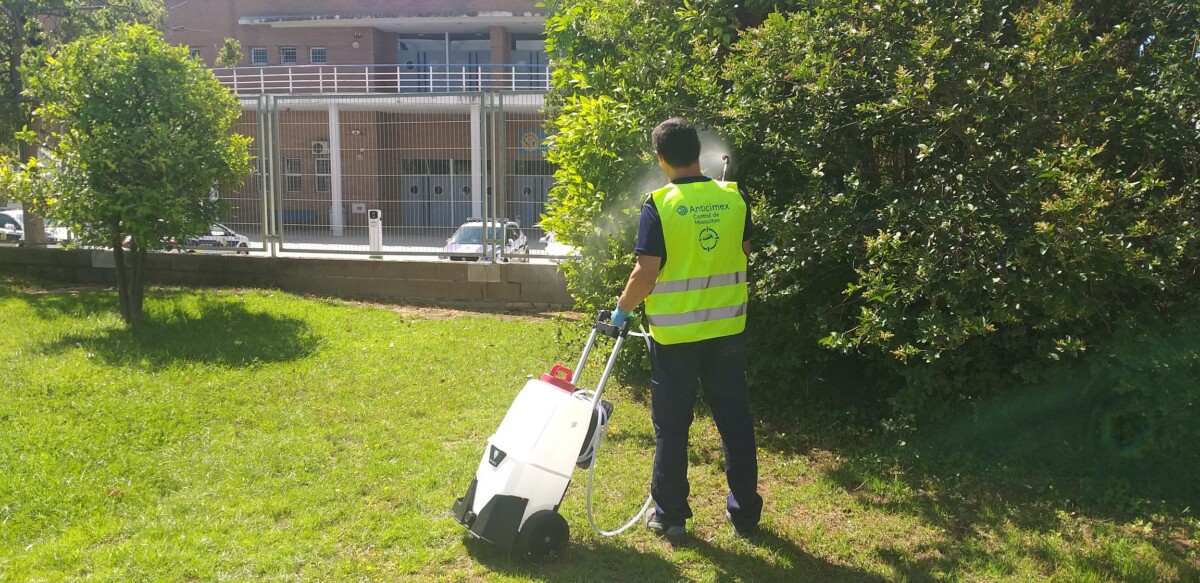 Mosquito tigre godella prevención